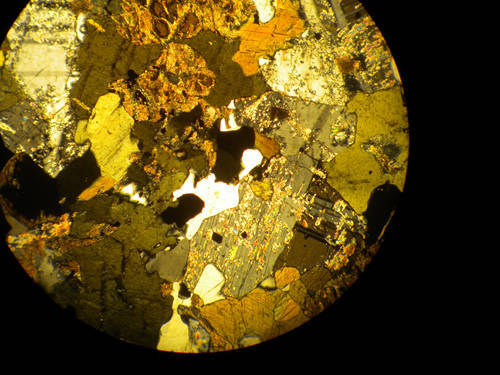 microscopio