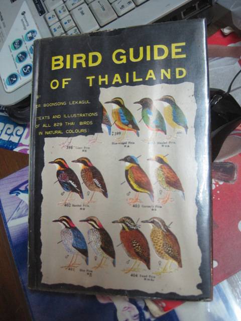 รูปภาพ