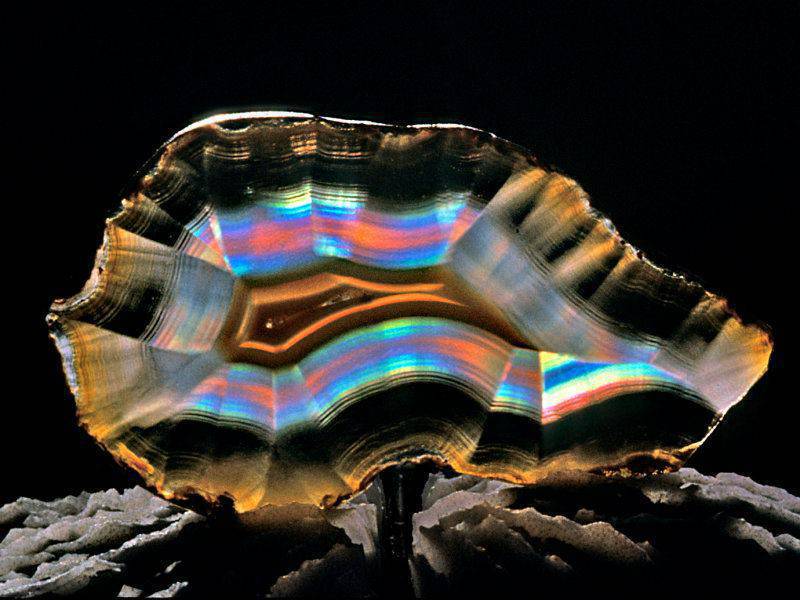 rocas