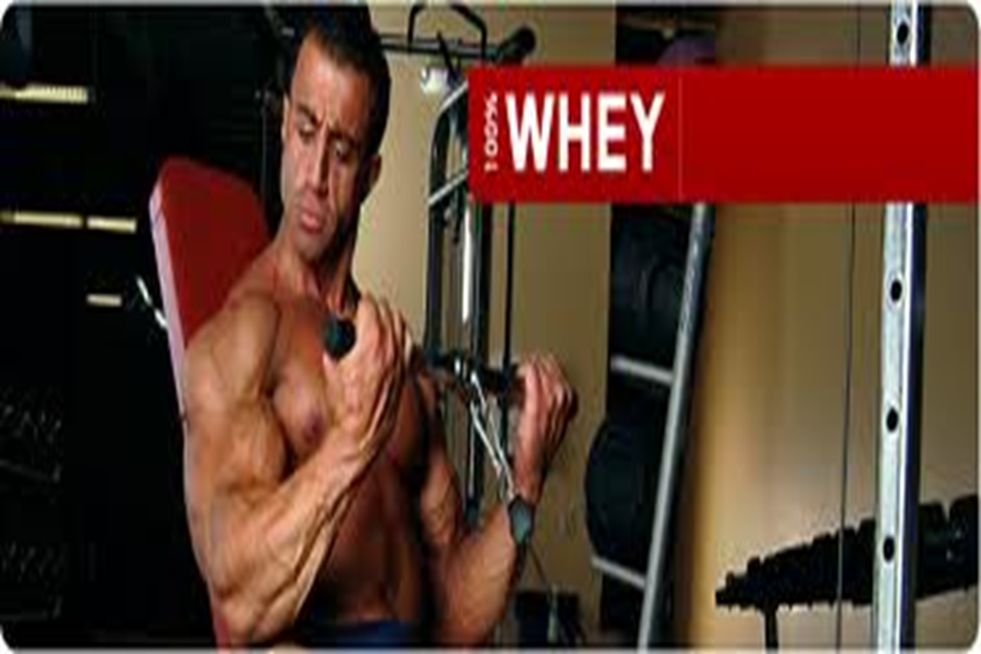 optimum nutrition 100% whey