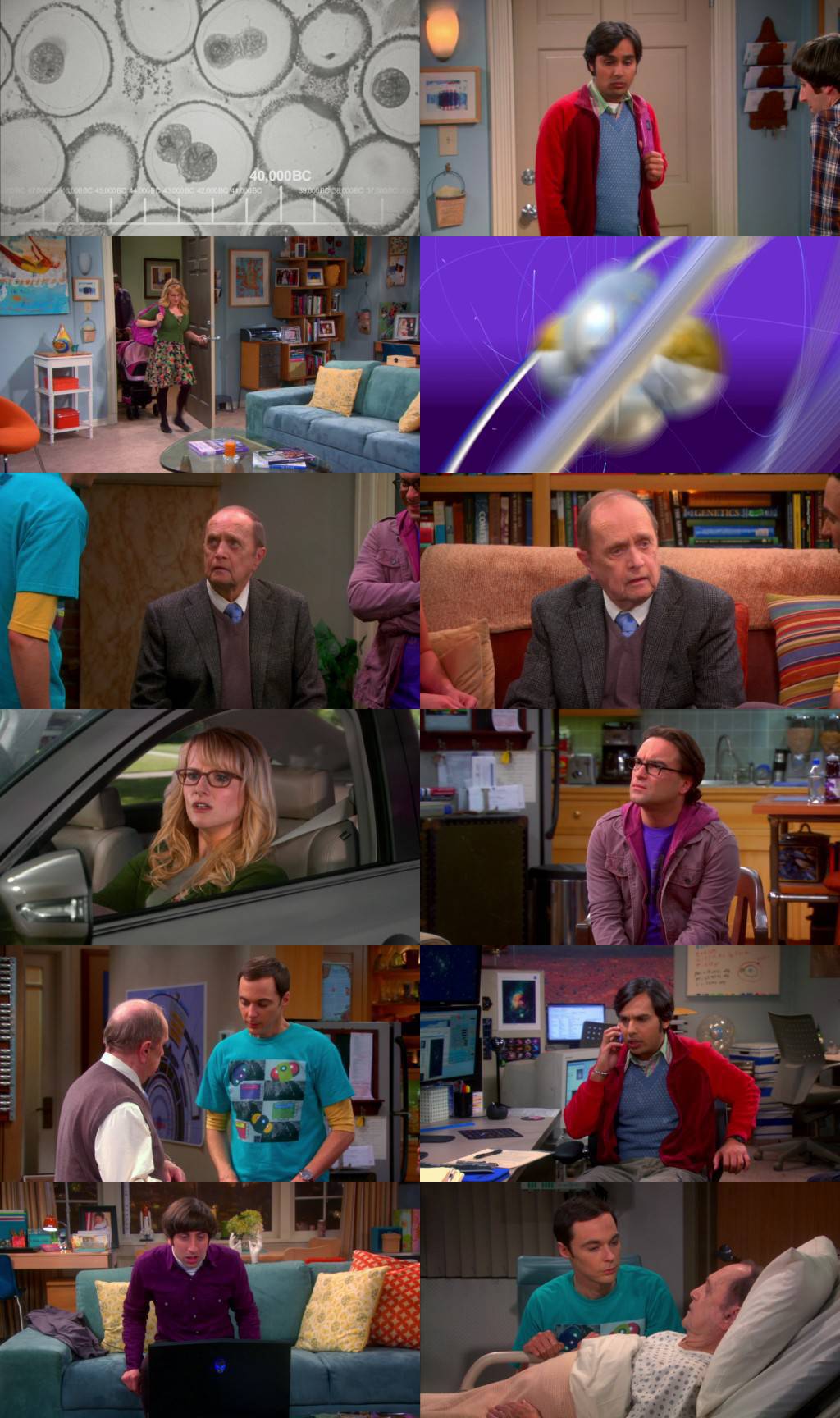 The Big Bang Theory S06E22 720p BluRay x264-DEMAND » Tiny Download