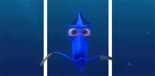 1901899485af7e76a500894f3fcfe3073504d391.gif