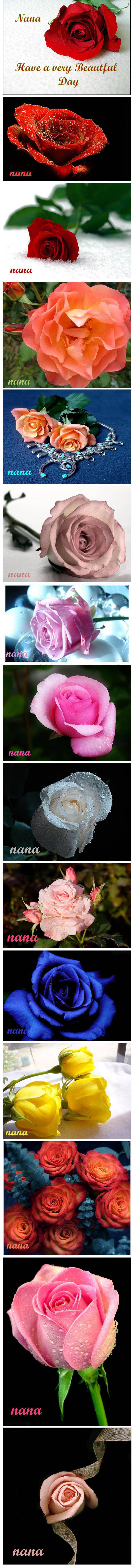 Image Hosted by UploadHouse.com