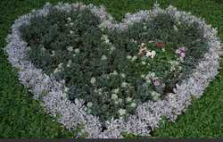 Image Hosted by UploadHouse.com