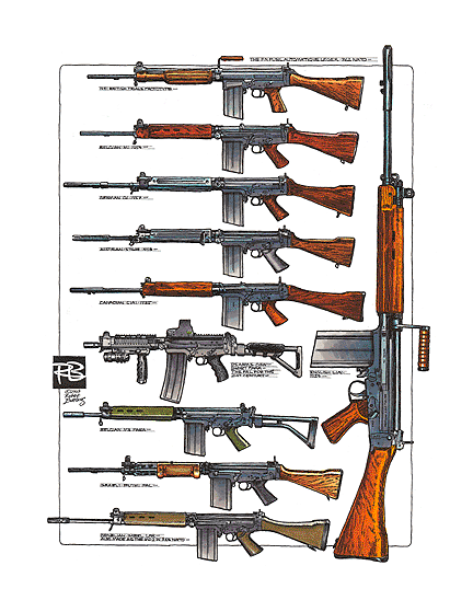 Fn C1 Rifle