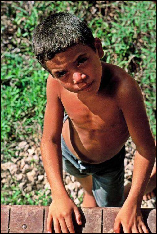 Niños Niños