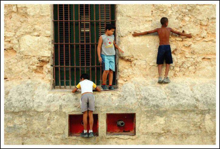 Niños Niños