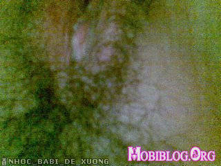 © Mobiblog.Org
