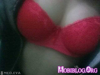 © Mobiblog.Org