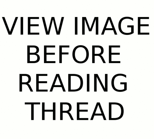 188299040c50959b3513c820bbfa3b45210b6acf.gif