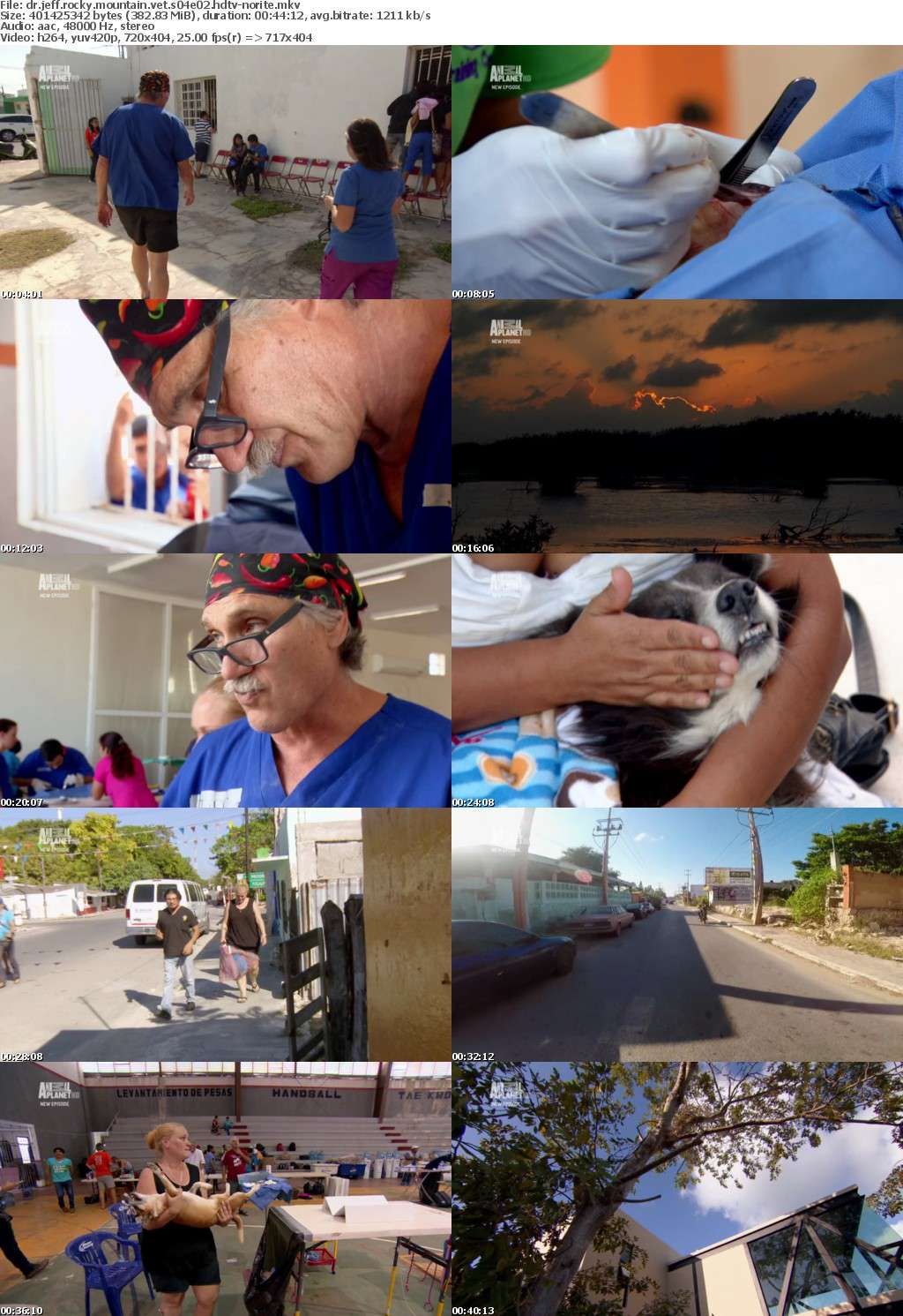 Dr Jeff Rocky Mountain Vet S04E02 HDTV x264-NORiTE Dr Jeff Rocky Mountain Vet S04E02 HDTV x264-NORiTE