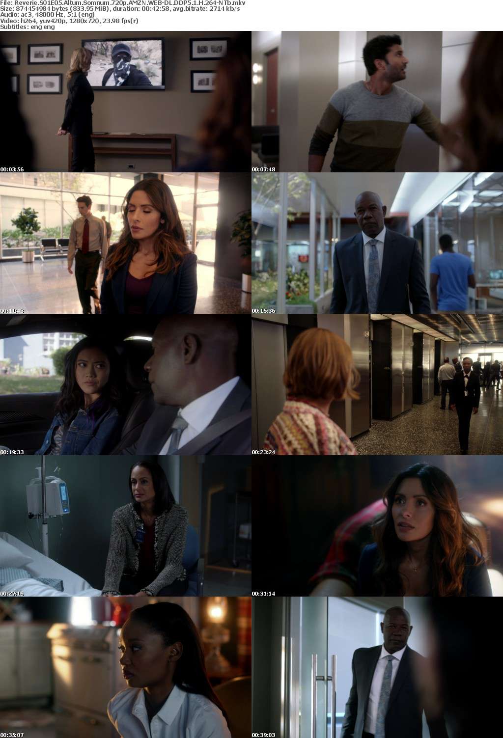 Reverie S01E05 Altum Somnum 720p AMZN WEB-DL DDP5 1 H 264-NTb Reverie S01E05 Altum Somnum 720p AMZN WEB-DL DDP5 1 H 264-NTb