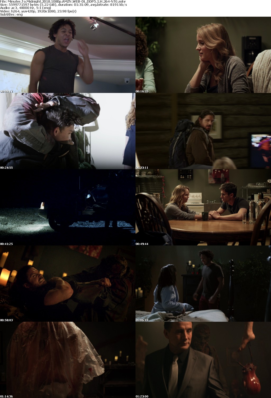 Minutes To Midnight 2018 1080p AMZN WEBRip DDP5 1 x264-NTG Minutes To Midnight 2018 1080p AMZN WEBRip DDP5 1 x264-NTG