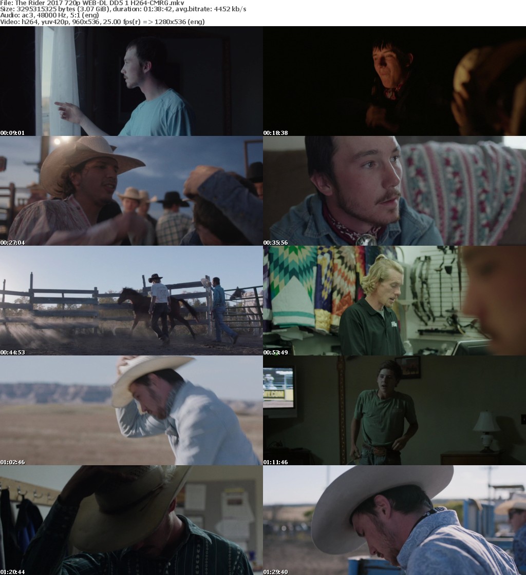 The Rider (2017) 720p WEB-DL DD5.1 H264-CMRG