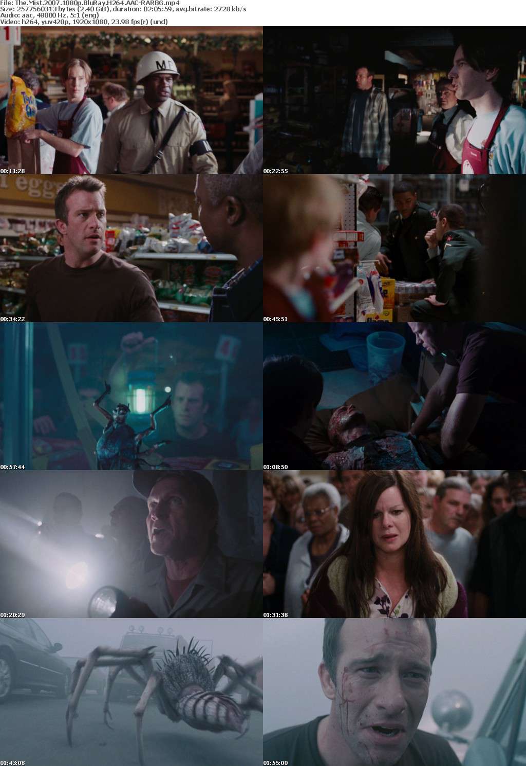 The Mist (2007) 1080p BluRay H264 AAC-RARBG