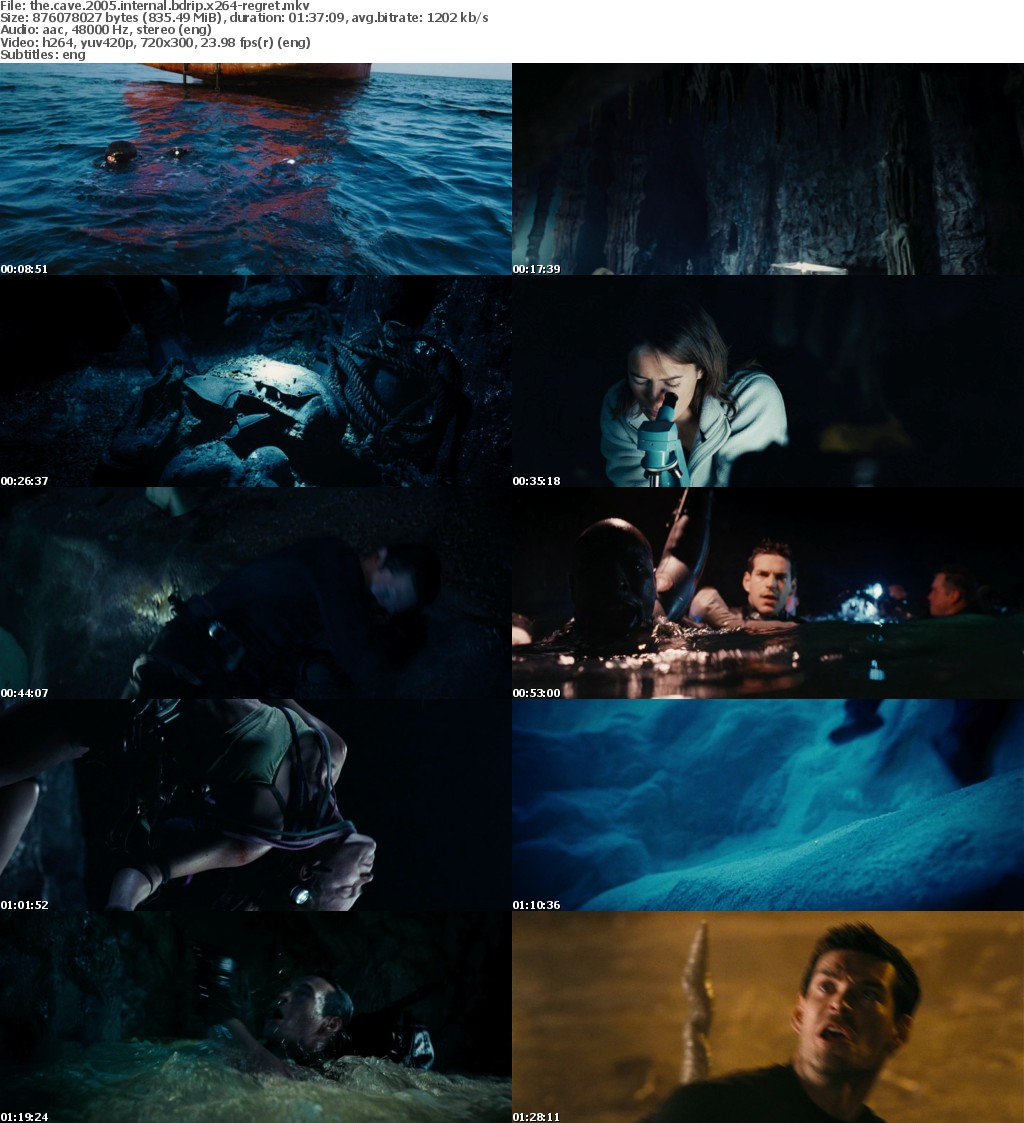 The Cave (2005) iNTERNAL BDRip x264-REGRET