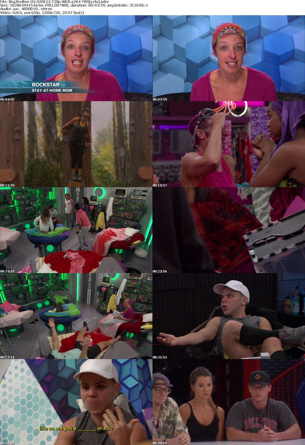 Big Brother US S20E12 720p WEB x264-TBS