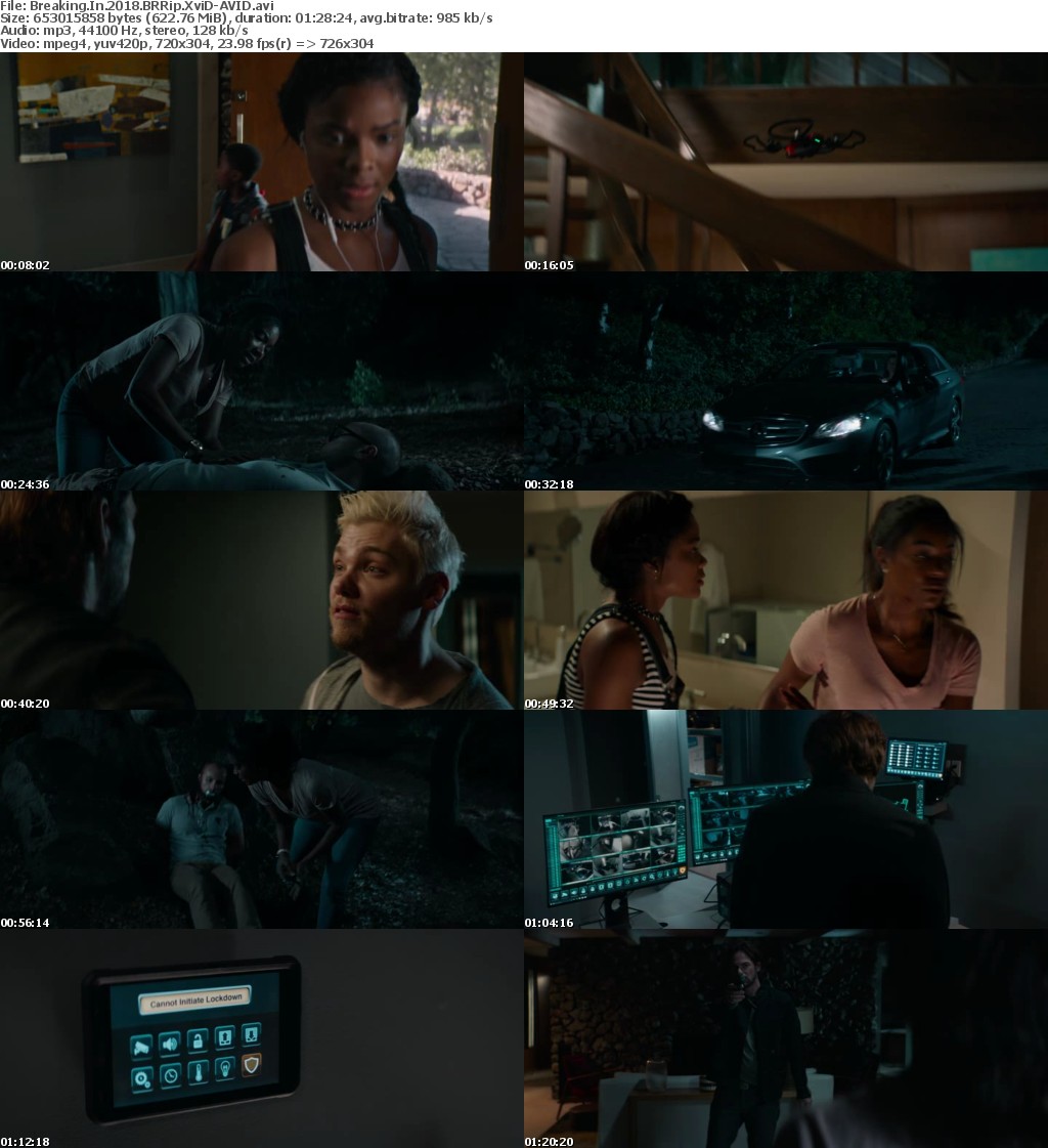 Breaking In (2018) BRRip XviD-AVID