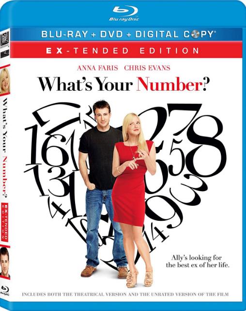 Whats Your Number (2011) 720p BluRay x264-x0r