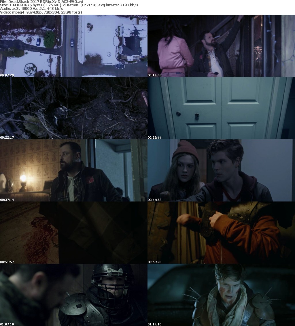 Dead Shack 2017 BDRip XviD AC3-EVO Dead Shack 2017 BDRip XviD AC3-EVO