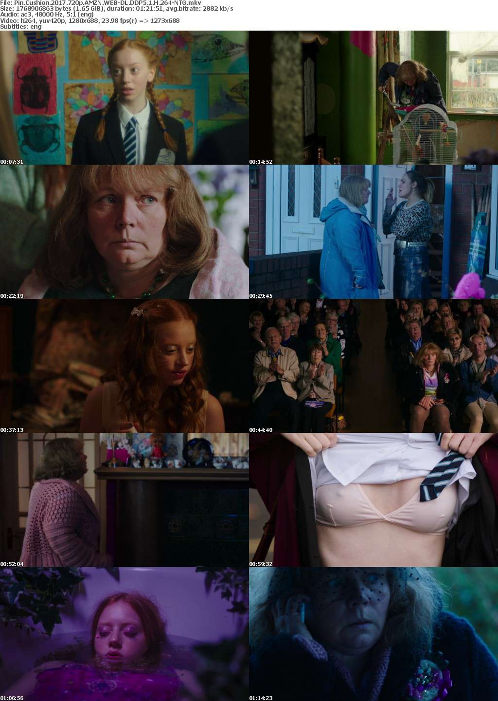 Pin Cushion (2017) 720p AMZN WEBRip DDP5.1 x264-NTG