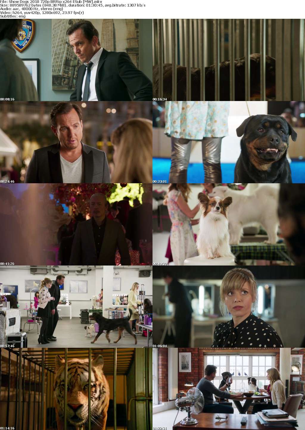 Show Dogs (2018) 720p BRRip x264 ESub MW