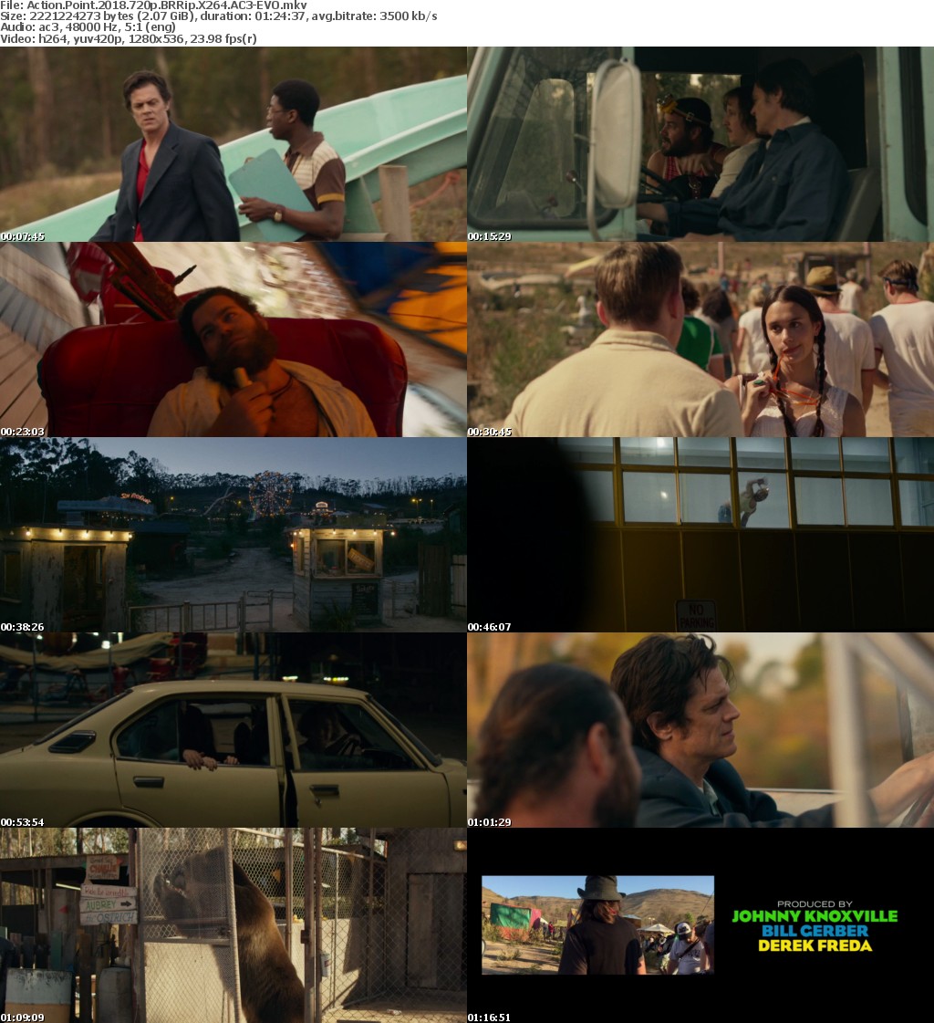 Action Point (2018) 720p BRRip X264 AC3-EVO