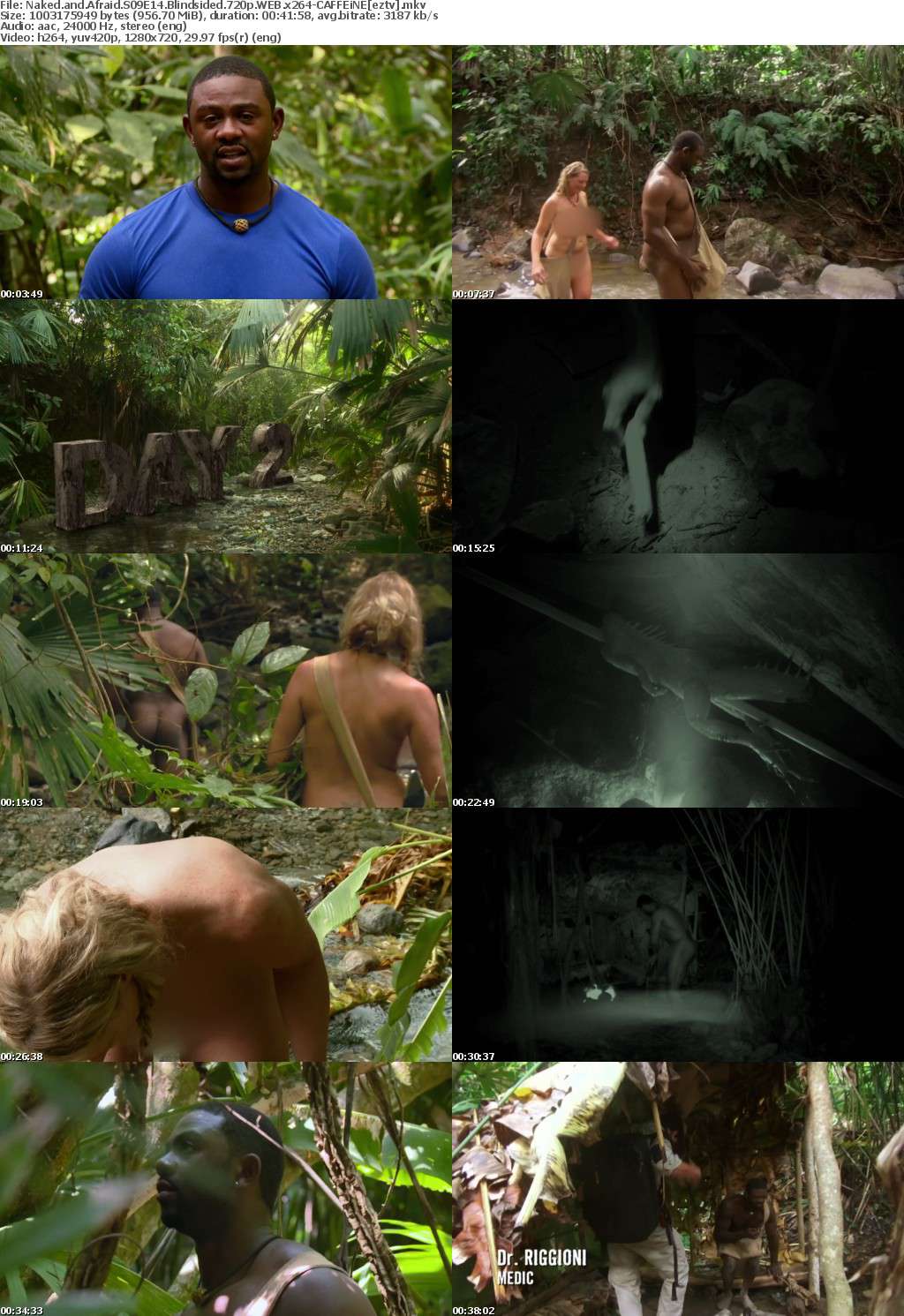 Naked and Afraid S09E14 Blindsided 720p WEB x264-CAFFEiNE