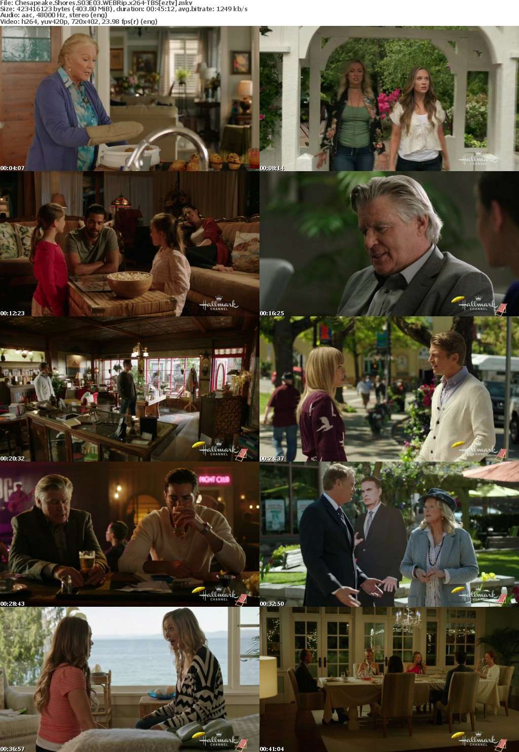 Chesapeake Shores S03E03 WEBRip x264-TBS