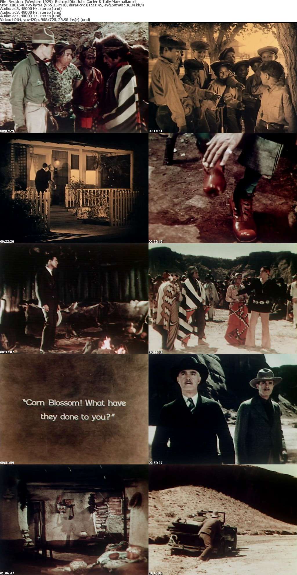 Redskin (Western 1929) Richard Dix 720p Redskin (Western 1929) Richard Dix 720p
