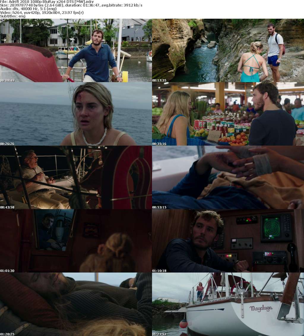 Adrift (2018) 1080p BluRay x264 DTS MW