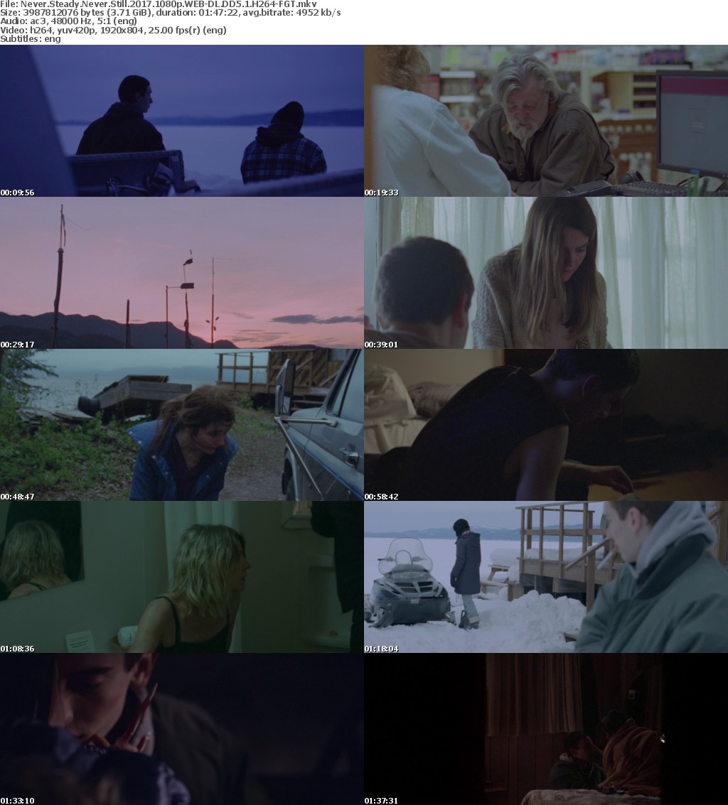 Never Steady Never Still (2017) 1080p WEB-DL DD5.1 H264-FGT