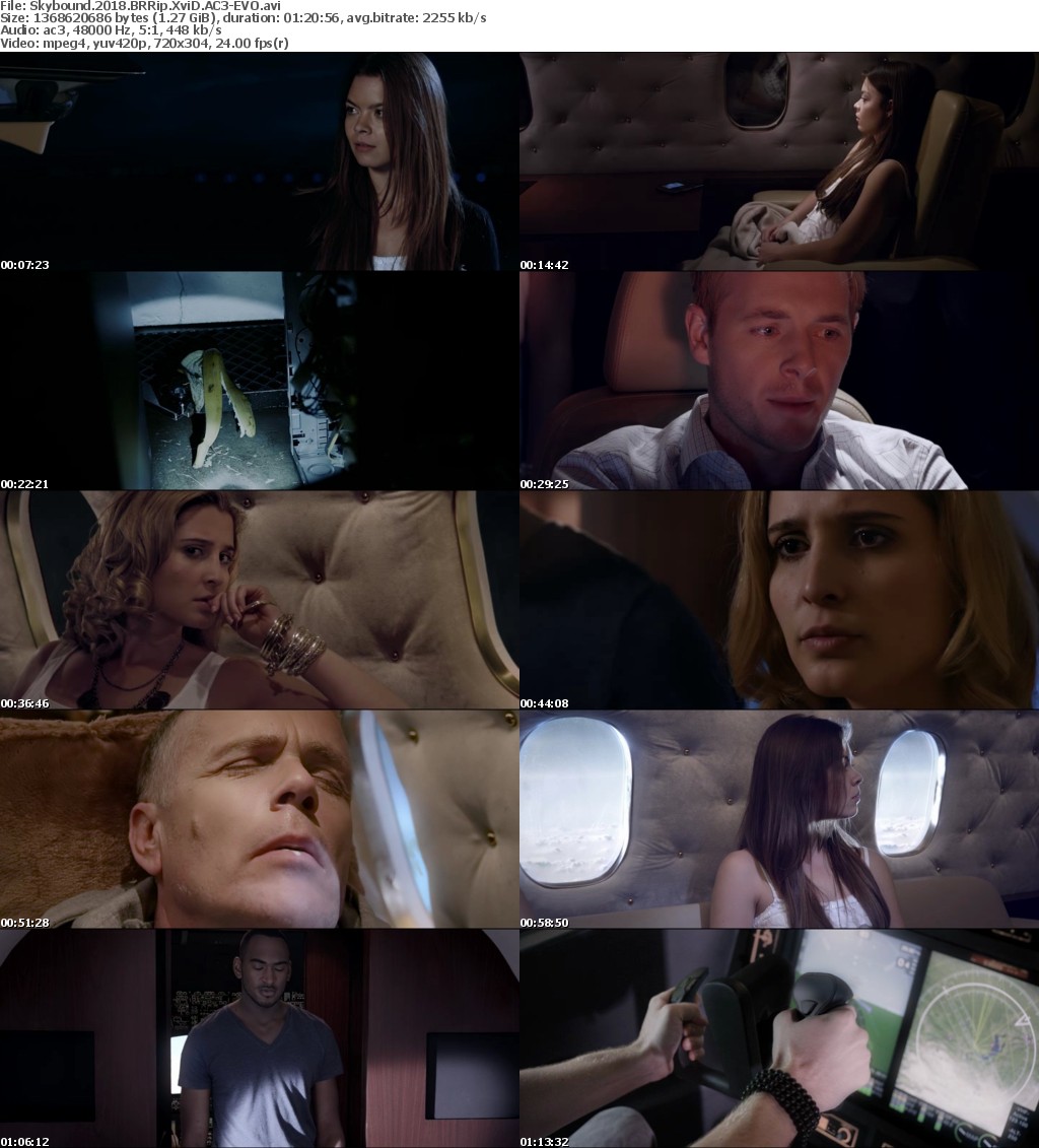 Skybound (2018) BRRip XviD AC3-EVO