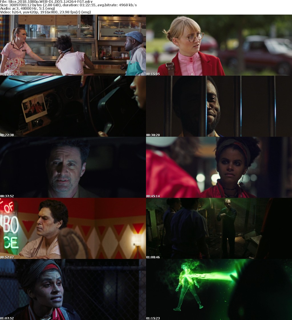 Slice (2018) 1080p WEB-DL DD5.1 H264-FGT