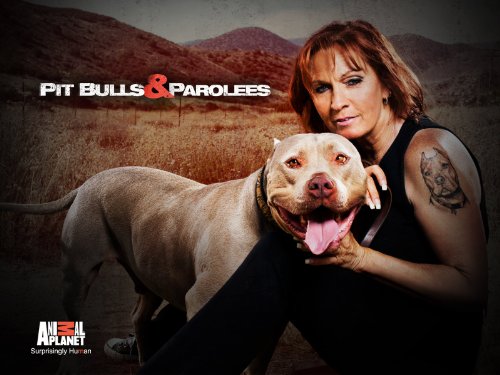 Pit Bulls and Parolees S12E01 Village of Wolves 720p WEB x264-CAFFEiNE