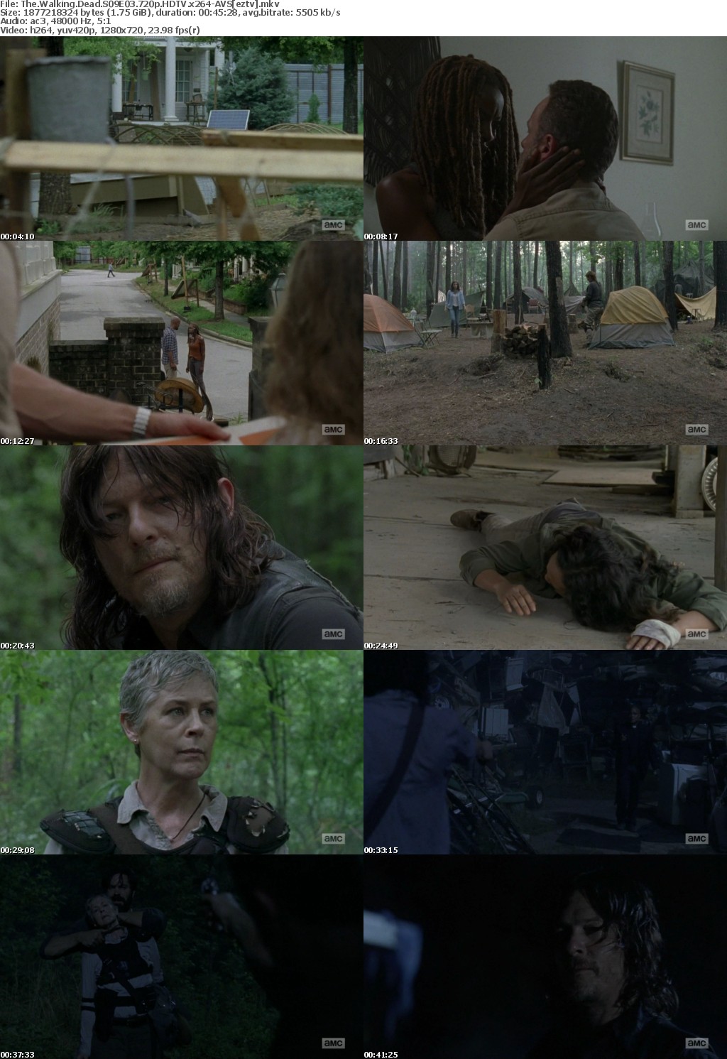 The Walking Dead S09E03 720p HDTV x264-AVS