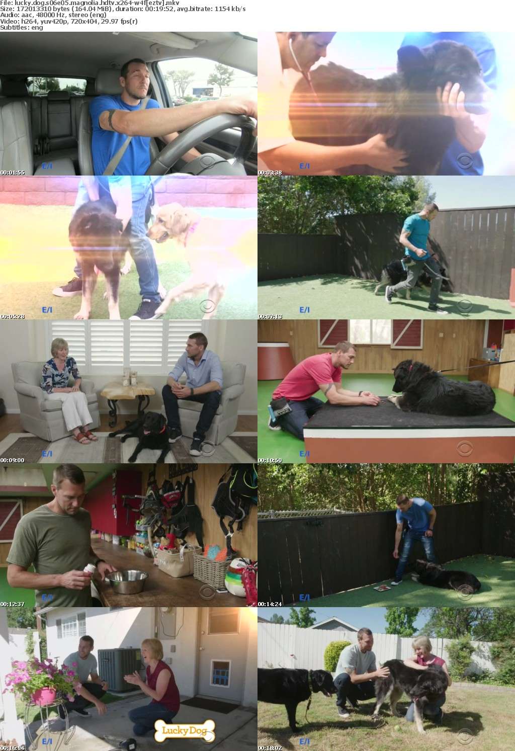 Lucky Dog S06E05 Magnolia HDTV x264-W4F