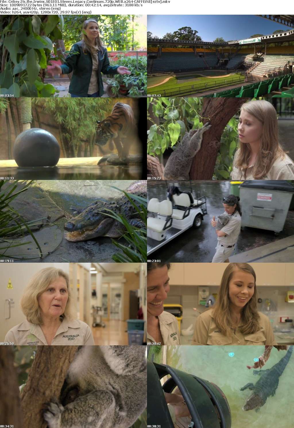 Crikey Its the Irwins S01E01 Steves Legacy Continues 720p WEB x264-CAFFEiNE