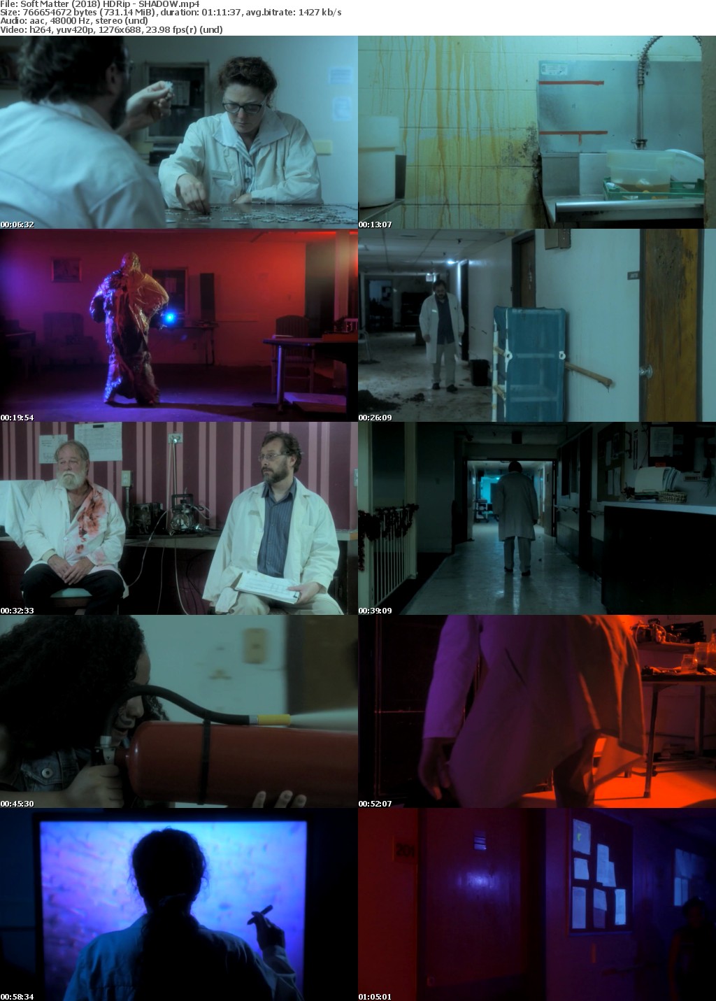 Soft Matter (2018) HDRip - SHADOW