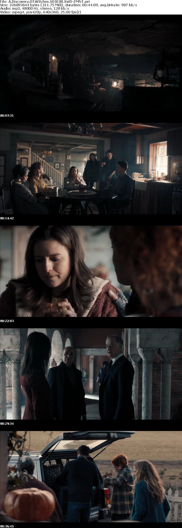 A Discovery Of Witches S01 XviD-ZMNT A Discovery Of Witches S01 XviD-ZMNT