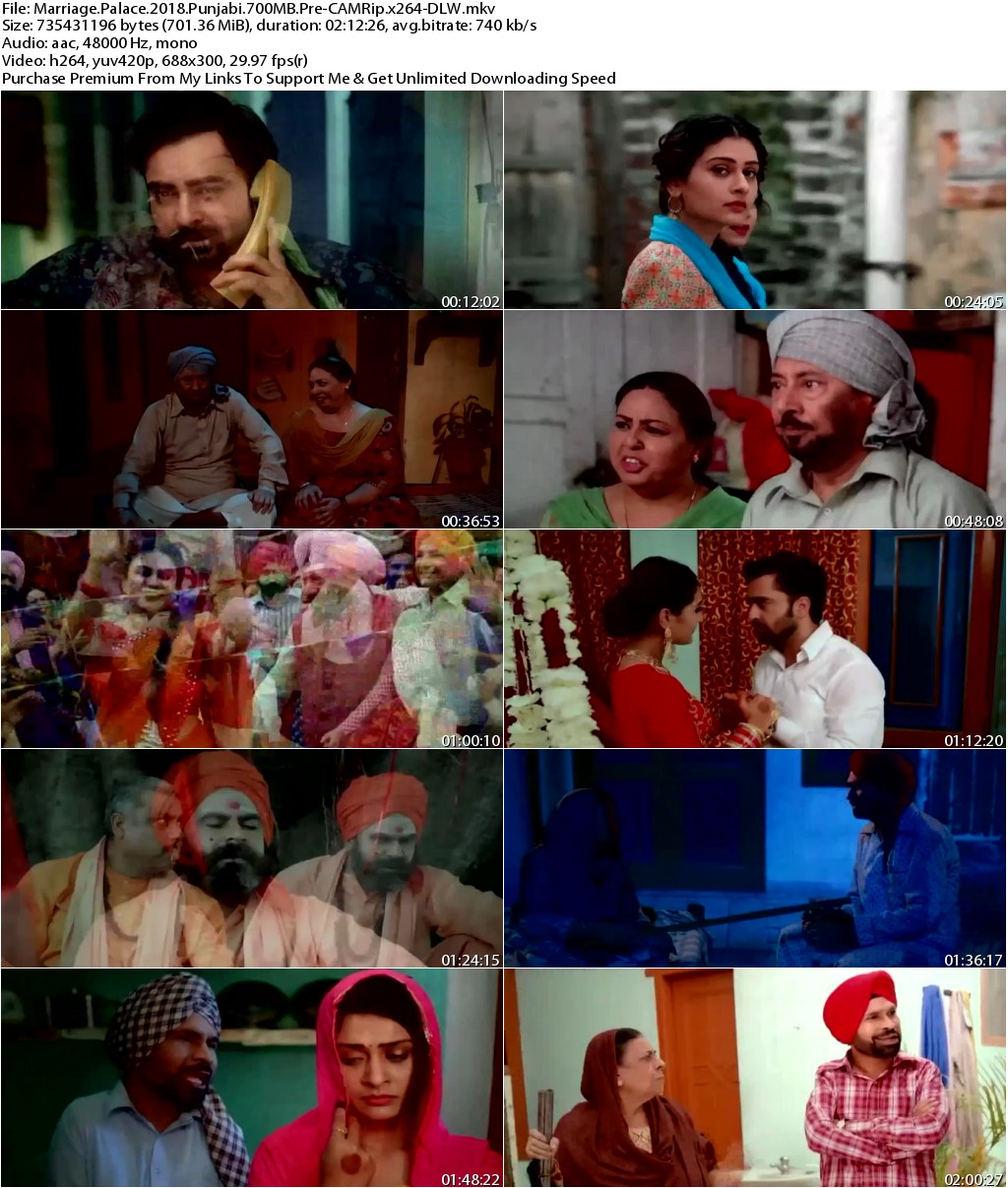 Marriage Palace (2018) Punjabi 700MB Pre-CAMRip x264-DLW