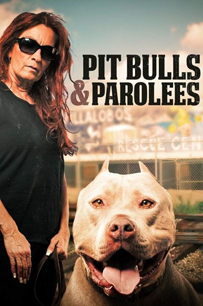 Pit Bulls and Parolees S12E11 My Underdog Life 720p WEB x264-CAFFEiNE