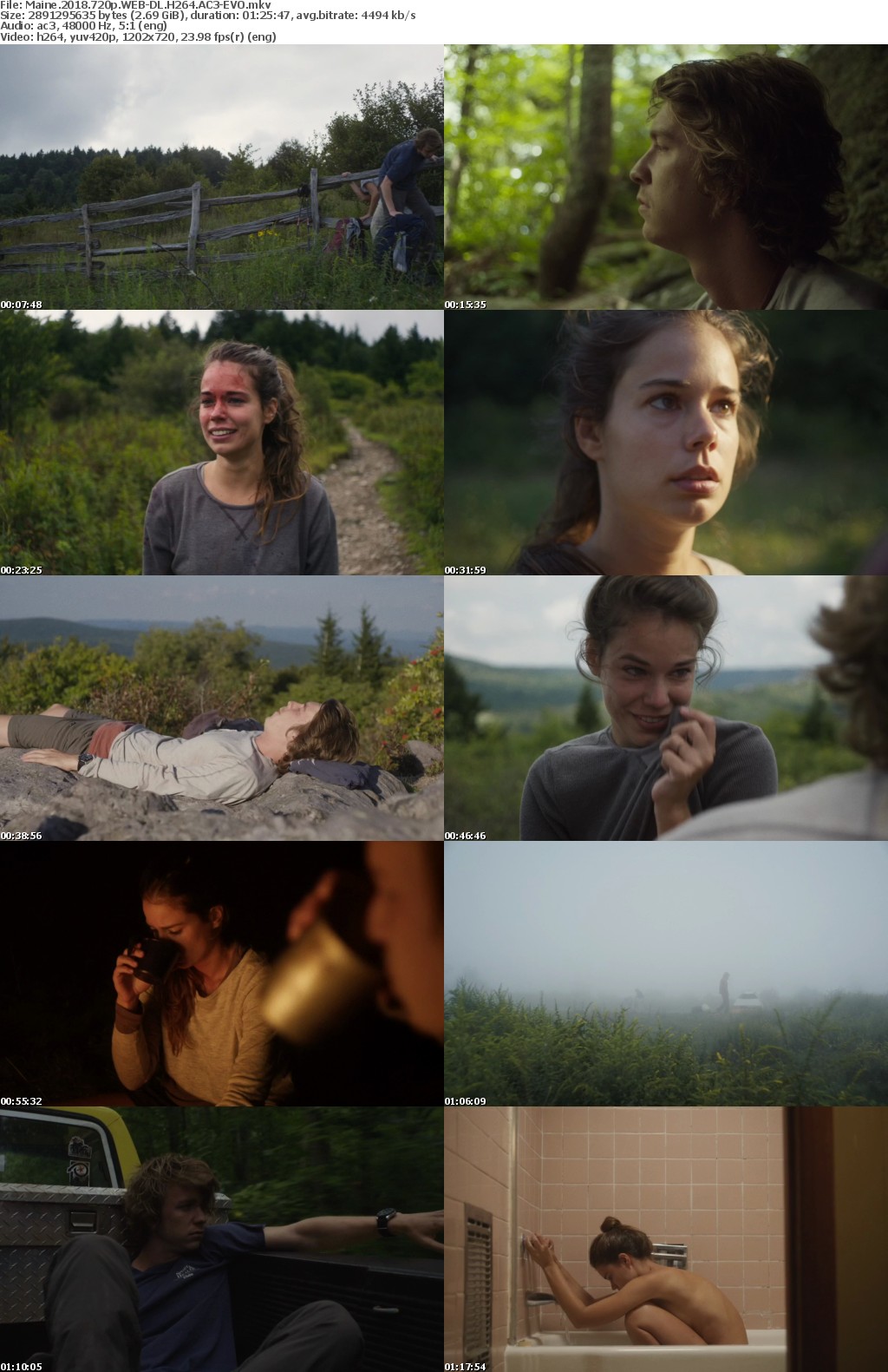 Maine (2018) 720p WEB-DL H264 AC3-EVO