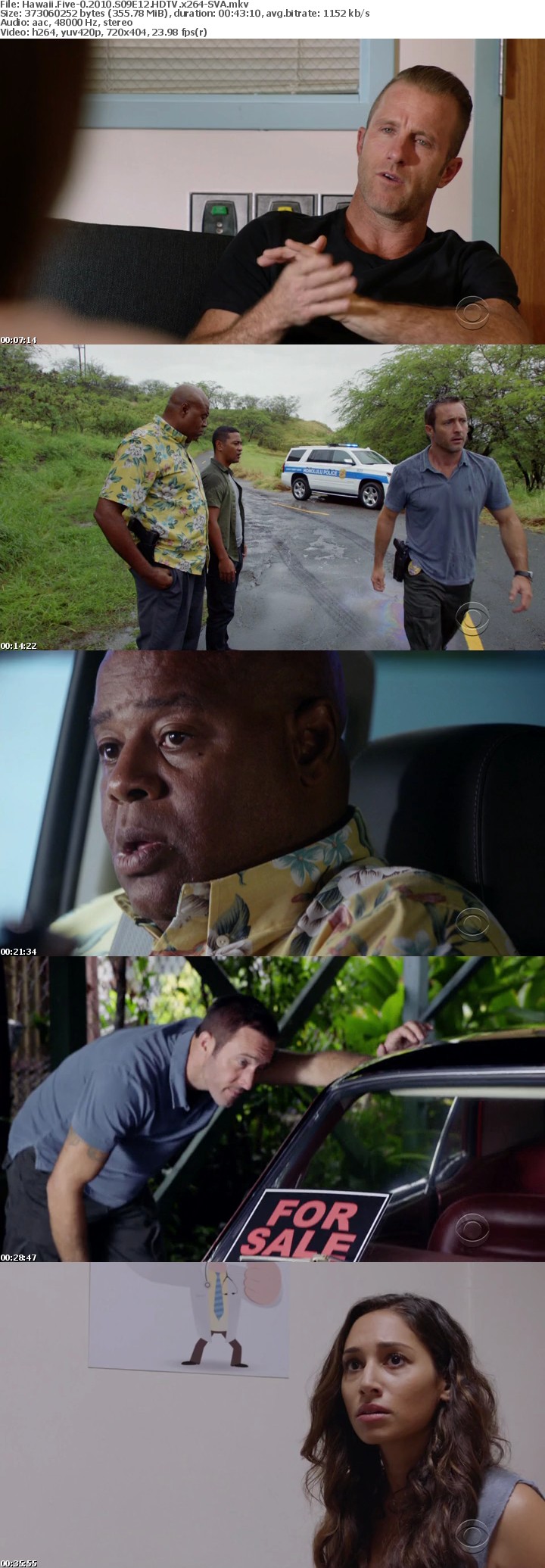 Hawaii Five-0 2010 S09E12 HDTV x264-SVA Hawaii Five-0 2010 S09E12 HDTV x264-SVA