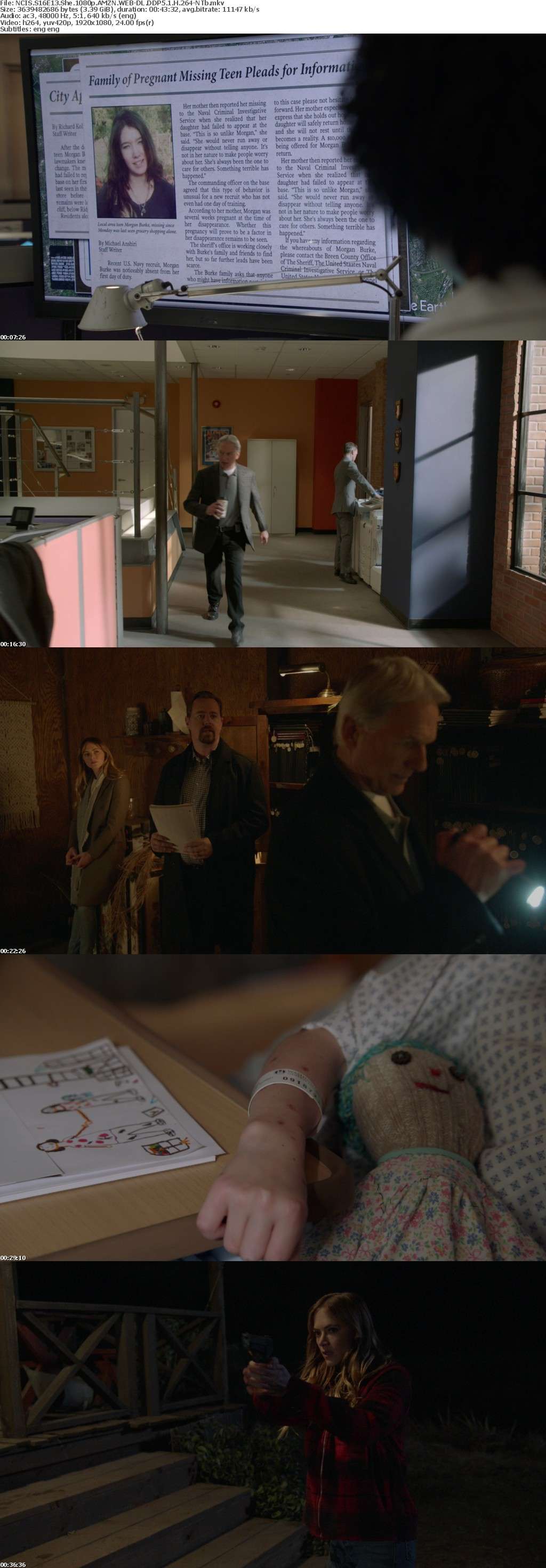 NCIS S16E13 She 1080p AMZN WEB-DL DDP5 1 H 264-NTb NCIS S16E13 She 1080p AMZN WEB-DL DDP5 1 H 264-NTb