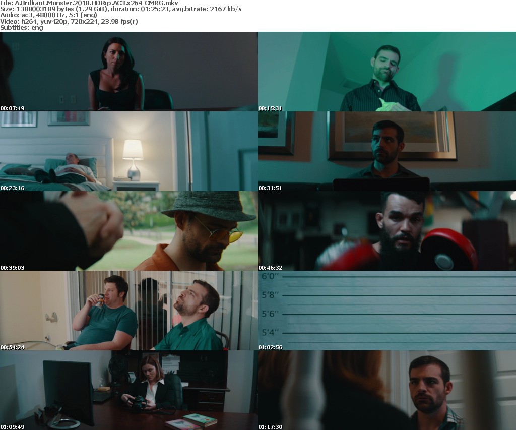 A Brilliant Monster (2018) HDRip AC3 x264-CMRG