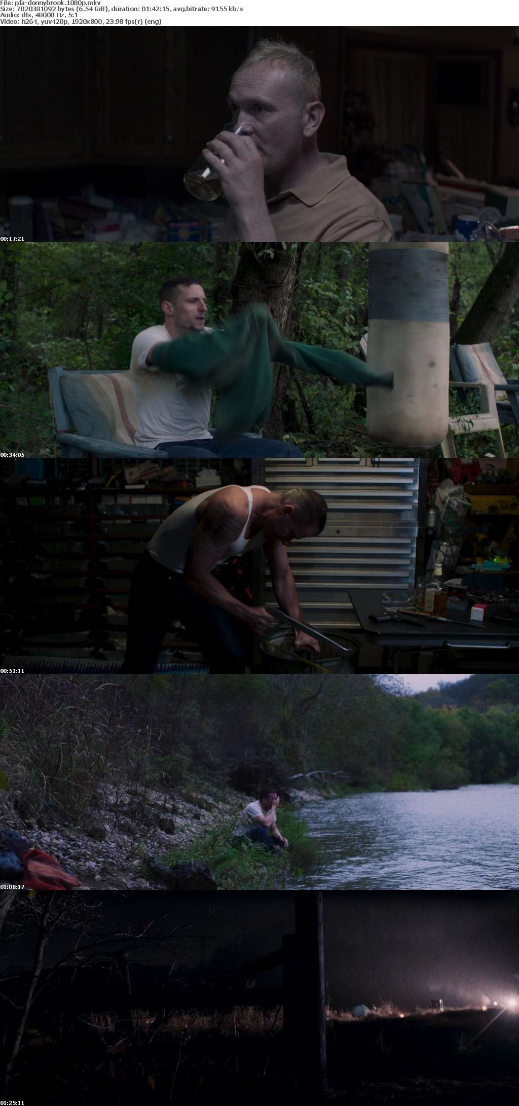 Donnybrook 2018 1080p BluRay x264-PFa Donnybrook 2018 1080p BluRay x264-PFa