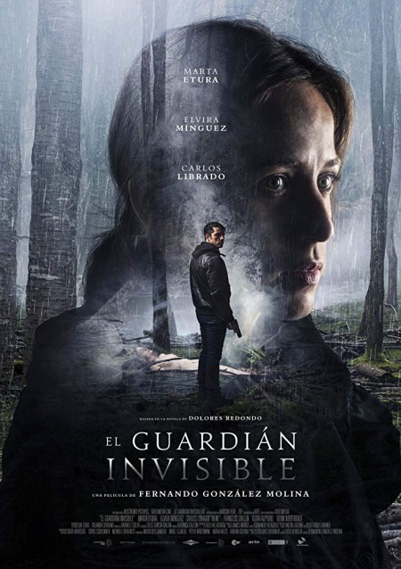 The Invisible Guardian (2017) 1080p WEBRip x264-STRiFE