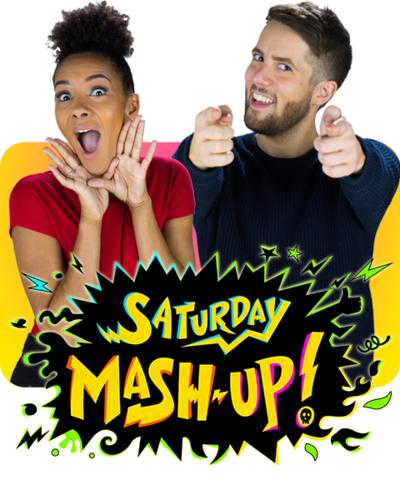 Saturday Mash-Up S03E08 480p x264-mSD