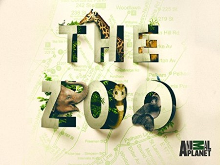 The Zoo US S04E04 Beloved Bugs 480p x264-mSD